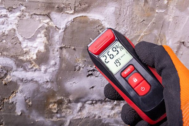Best Black Mold Removal  in Liberty Lake, WA