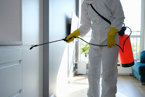 Best Mold Testing and Removal  in Liberty Lake, WA