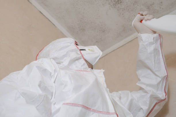 Best Toxic Mold Removal  in Liberty Lake, WA